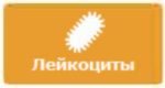 л